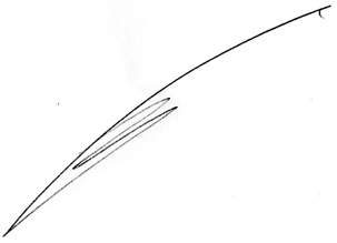 signature of Julien Mahot